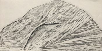 20.10.2020 Holz - wood - bois - drewno Matthias Harnisch * Frottage du jour