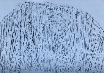 29.11.2020 Holz - wood - bois - drewno Matthias Harnisch * Frottage du jour