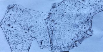 13.03.2023 Eis - ice - glace - lód Matthias Harnisch * Frottage du jour