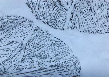 30.11.2020 Holz - wood - bois - drewno Matthias Harnisch * Frottage du jour