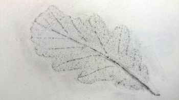 15.06.2016 Eichenblatt - oak leaf - feuille de chêne - liść dębu Matthias Harnisch - Frottage du jour