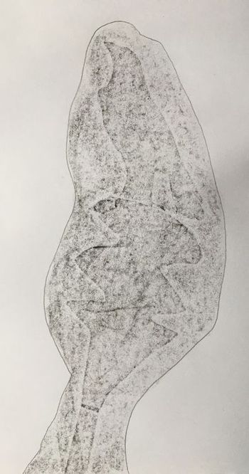 23.04.2021 Papier - paper - papier - papier Matthias Harnisch * Frottage du jour