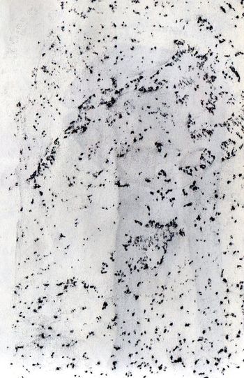 25.07.2024 Kalkstein - limestone - pierre à chaux - wapień Matthias Harnisch * Frottage du jour