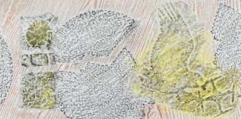 10.09.2024 Verschiedene Oberflächen - various surfaces - surfaces différentes - różne powierzchnie Matthias Harnisch * Frottage du jour