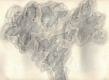 05.02.2025 Papier - paper - papier - papier Matthias Harnisch * Frottage du jour