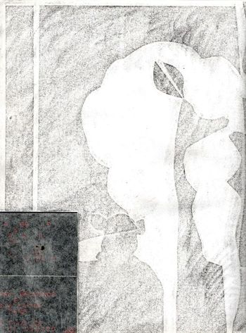 24.11.2021 Papier - paper - papier - papier Matthias Harnisch * Frottage du jour