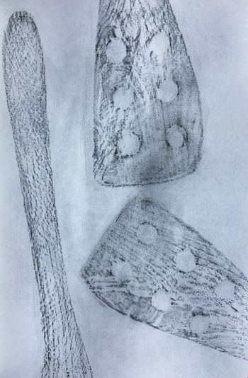 06.11.2021 Kochlöffel - wooden spoon - cuillère en bois - warząchew Matthias Harnisch * Frottage du jour
