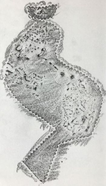 06.07.2021 Papier/Farbe - paper/paint - papier/peinture - papier/farba Matthias Harnisch * Frottage du jour