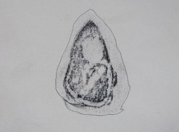 29.03.2016 Kieselstein - pebble - gravier - krzemyk Matthias Harnisch - Frottage du jour