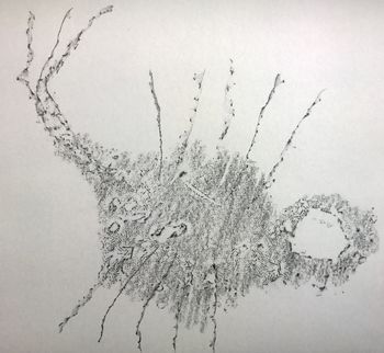 20.12.2016 Verschiedene Oberflächen - various surfaces - surfaces différentes - różne powierzchnie Matthias Harnisch - Frottage du jour