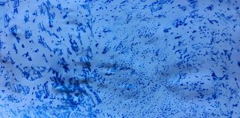 26.02.2021 Eis - ice - glace - lód Matthias Harnisch * Frottage du jour
