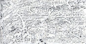 04.05.2022 Travertin - travertine - travertin - trawertyn Matthias Harnisch * Frottage du jour