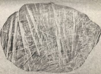 26.10.2020 Holz - wood - bois - drewno Matthias Harnisch * Frottage du jour