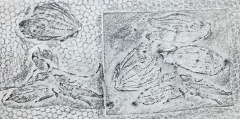 14.10.2021 Verschiedene Oberflächen - various surfaces - surfaces différentes - różne powierzchnie Matthias Harnisch * Frottage du jour