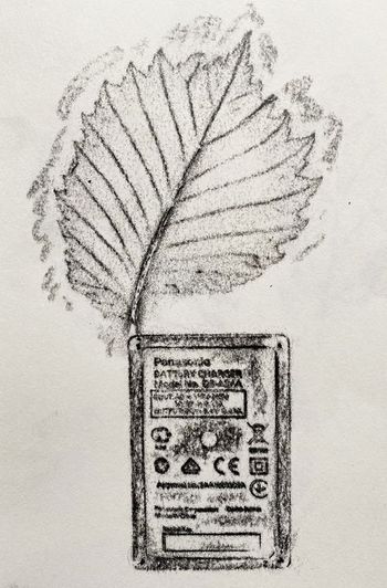 02.12.2022 Ladegerät/Ulmus laevis - charger/Ulmus laevis - chargeur/Ulmus laevis - ładowarka/Ulmus laevis Matthias Harnisch * Frottage du jour